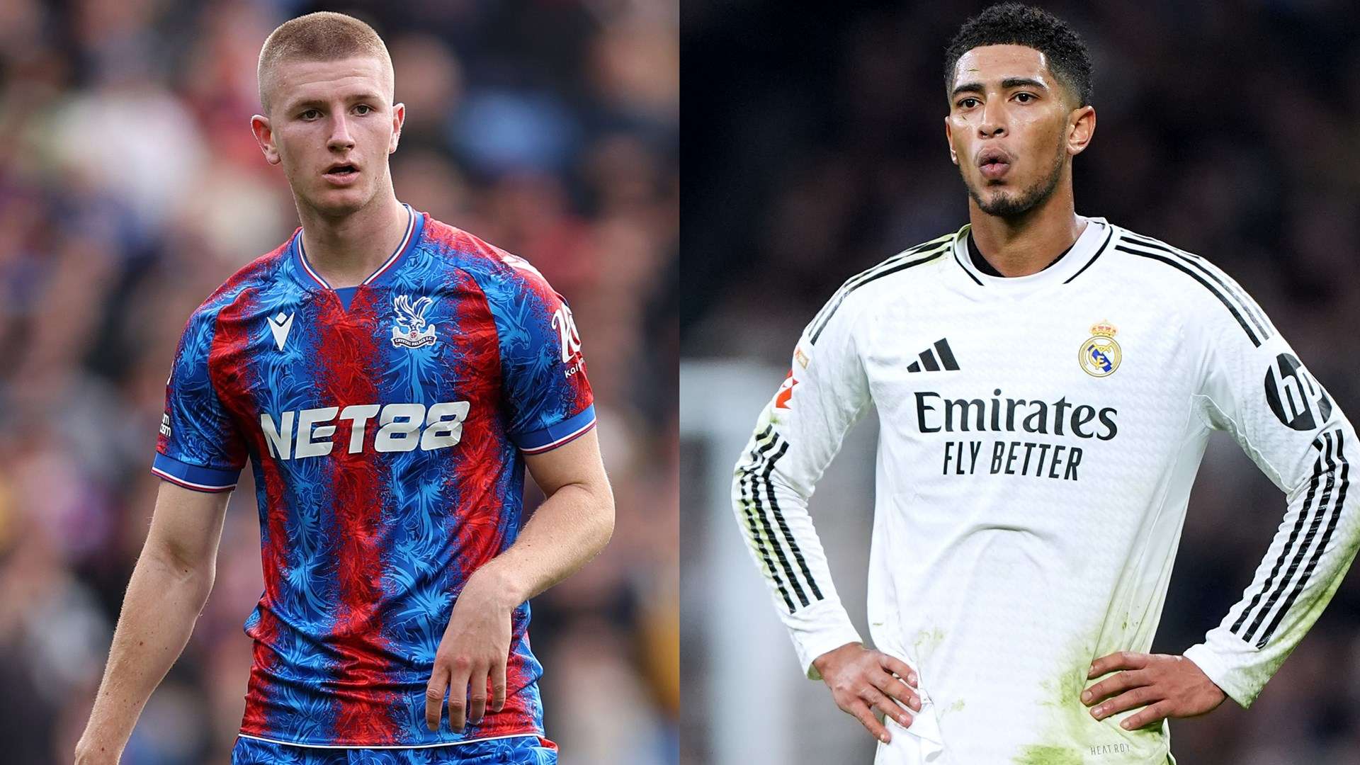 向世人展示 向世人展示