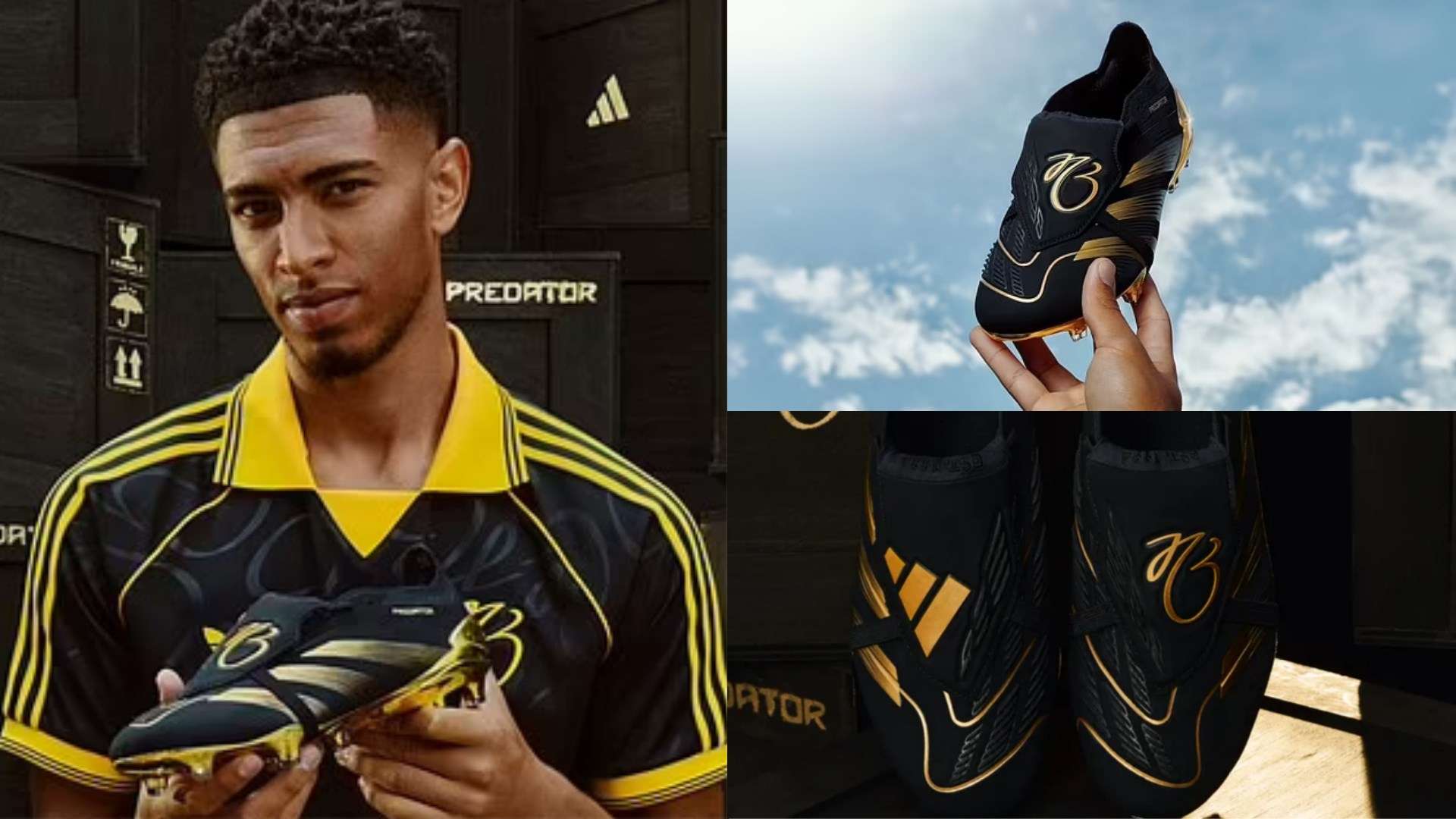 贡献自己的 贡献自己的