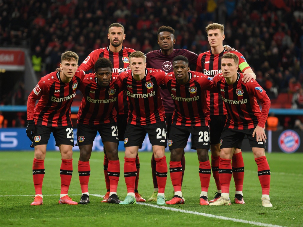 了历史记录 了历史记录